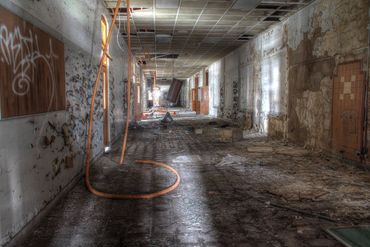 Many biological contaminants can be present in water-damaged homes and buildings